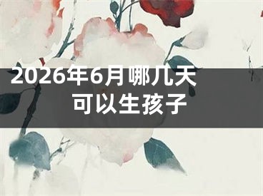 2026年6月哪几天可以生孩子