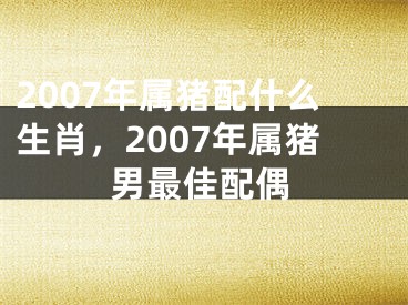 2007年属猪配什么生肖，2007年属猪男最佳配偶