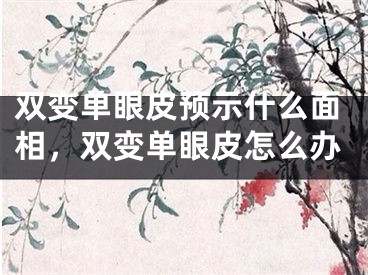 双变单眼皮预示什么面相，双变单眼皮怎么办