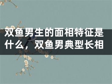 双鱼男生的面相特征是什么，双鱼男典型长相