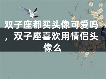 双子座都买头像可爱吗，双子座喜欢用情侣头像么