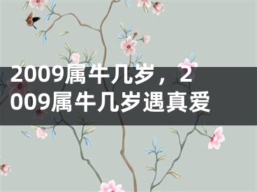 2009属牛几岁，2009属牛几岁遇真爱