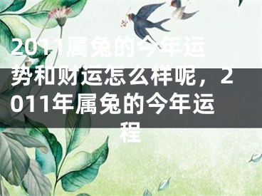 2011属兔的今年运势和财运怎么样呢，2011年属兔的今年运程