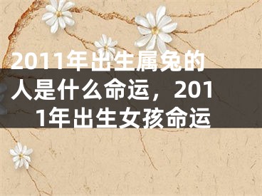 2011年出生属兔的人是什么命运，2011年出生女孩命运