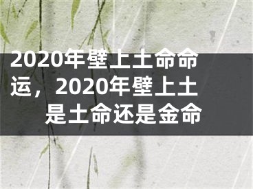 2020年壁上土命命运，2020年壁上土是土命还是金命