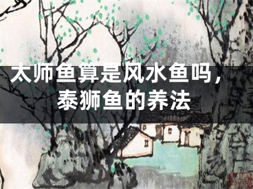 太师鱼算是风水鱼吗，泰狮鱼的养法