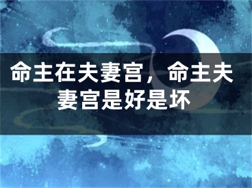 命主在夫妻宫,命主夫妻宫是好是坏