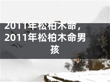 2011年松柏木命，2011年松柏木命男孩