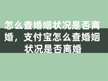 怎么查婚姻状况是否离婚，支付宝怎么查婚姻状况是否离婚
