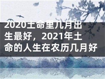2020土命里几月出生最好,2021年土命的人生在农历几月好