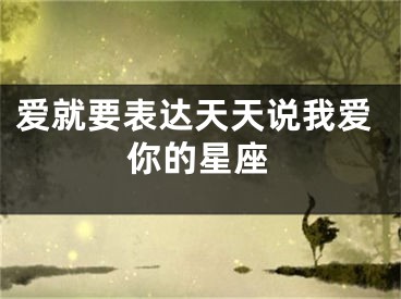 爱就要表达天天说我爱你的星座