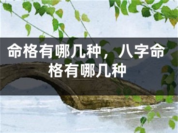 命格有哪几种，八字命格有哪几种