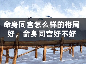 命身同宫怎么样的格局好，命身同宫好不好