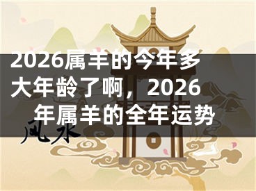 2026属羊的今年多大年龄了啊，2026年属羊的全年运势