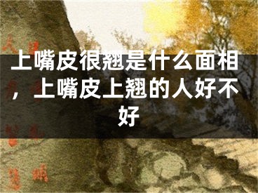 上嘴皮很翘是什么面相,上嘴皮上翘的人好不好