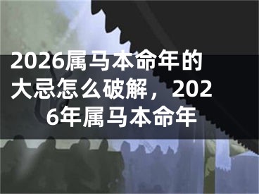 2026属马本命年的大忌怎么破解，2026年属马本命年