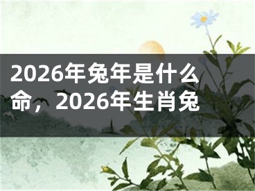2026年兔年是什么命，2026年生肖兔