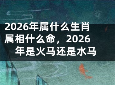 2026年属什么生肖属相什么命，2026年是火马还是水马