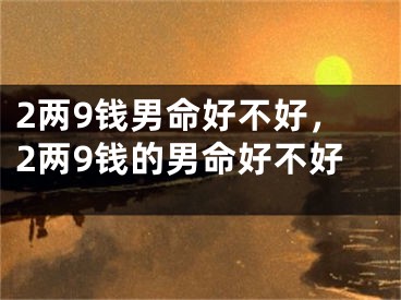 2两9钱男命好不好,2两9钱的男命好不好