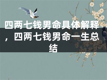 四两七钱男命具体解释,四两七钱男命一生总结
