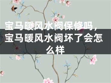 宝马暖风水阀保修吗,宝马暖风水阀坏了会怎么样