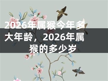 2026年属猴今年多大年龄,2026年属猴的多少岁