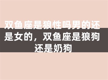双鱼座是狼性吗男的还是女的,双鱼座是狼狗还是奶狗