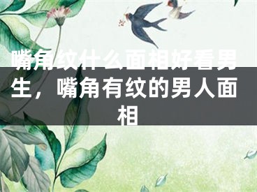 嘴角纹什么面相好看男生，嘴角有纹的男人面相