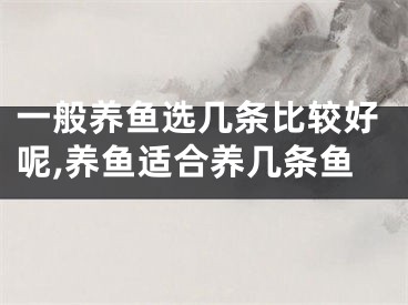 一般养鱼选几条比较好呢,养鱼适合养几条鱼