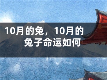 10月的兔,10月的兔子命运如何