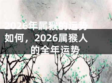 2026年属猴的运势如何,2026属猴人的全年运势