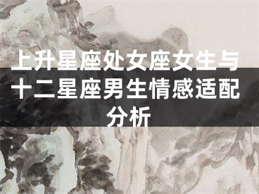 上升星座处女座女生与十二星座男生情感适配分析