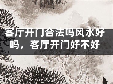 客厅开门合法吗风水好吗，客厅开门好不好