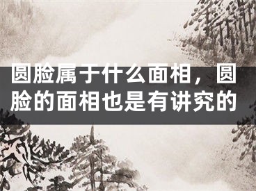 圆脸属于什么面相,圆脸的面相也是有讲究的
