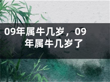 09年属牛几岁，09年属牛几岁了