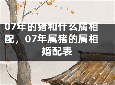 07年的猪和什么属相配，07年属猪的属相婚配表