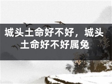 城头土命好不好，城头土命好不好属兔