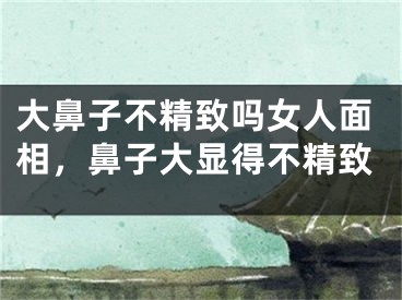 大鼻子不精致吗女人面相，鼻子大显得不精致