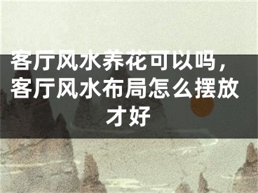 客厅风水养花可以吗,客厅风水布局怎么摆放才好