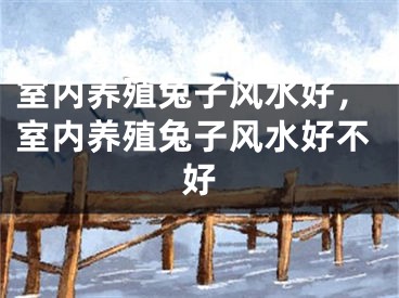 室内养殖兔子风水好，室内养殖兔子风水好不好