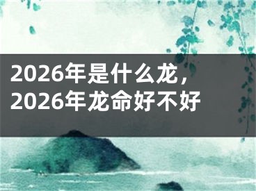 2026年是什么龙,2026年龙命好不好