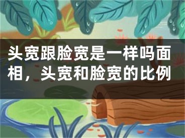 头宽跟脸宽是一样吗面相,头宽和脸宽的比例