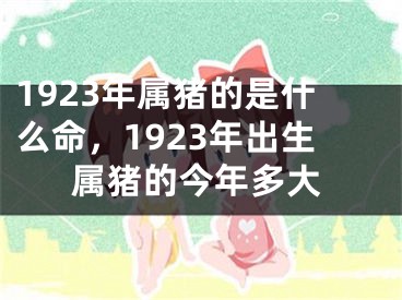 1923年属猪的是什么命，1923年出生属猪的今年多大