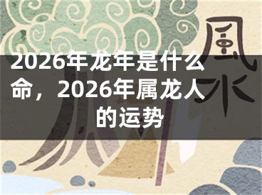 2026年龙年是什么命，2026年属龙人的运势