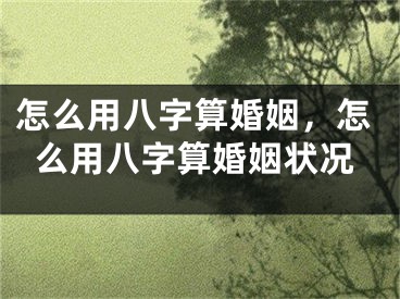 怎么用八字算婚姻，怎么用八字算婚姻状况