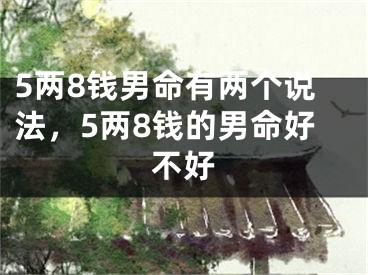 5两8钱男命有两个说法,5两8钱的男命好不好