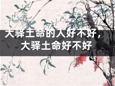 大驿土命的人好不好，大驿土命好不好