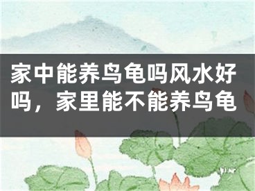 家中能养鸟龟吗风水好吗，家里能不能养鸟龟