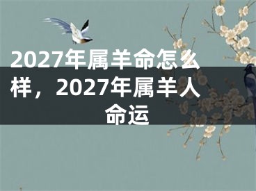 2027年属羊命怎么样，2027年属羊人命运