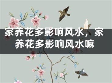 家养花多影响风水,家养花多影响风水嘛